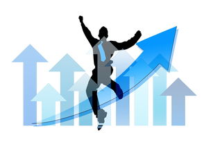 中国篮球职业俱乐部财务风险管理实践，篮球俱乐部经营与管理