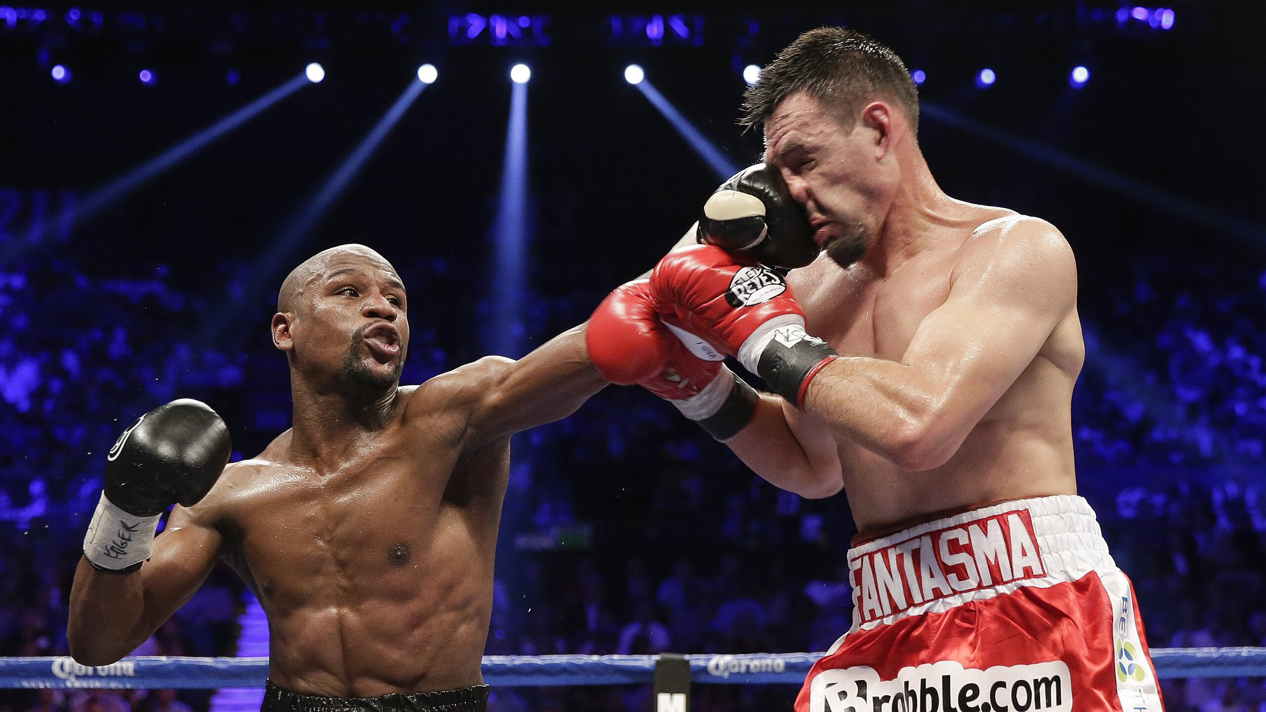 塔特快速突破与出色的防守反击，为袋鼠队创造无数进攻机会，塔特是什么意思